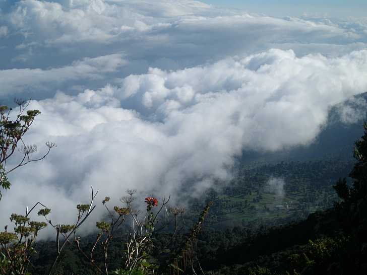 Enjoying the marvelous view over the clouds.