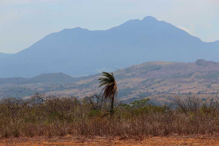 Volcan Tenorio